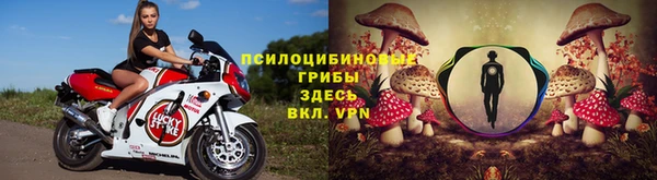 трава Баксан